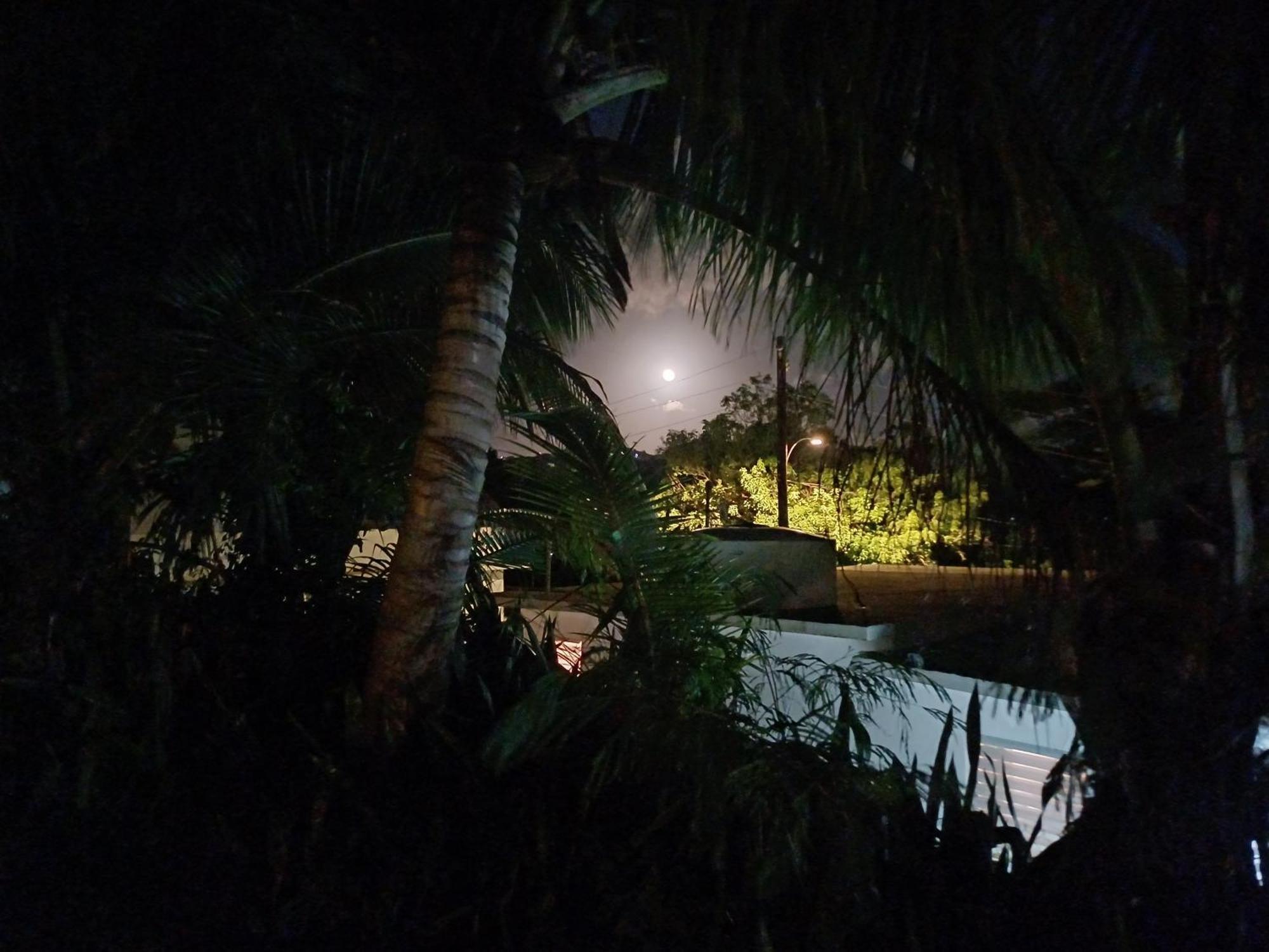 Rooster Run Glamping Camping Has Rooftop And Off The Ground Glamping Experience For 1 To 16 In A Single Tent And Views Of The Rain Forrest And To Culebra Across The Atlantic Ocean W Tents, Linens, Deluxe Air Beds, Warm Shower And More At A Great Pric Vieques Exterior photo