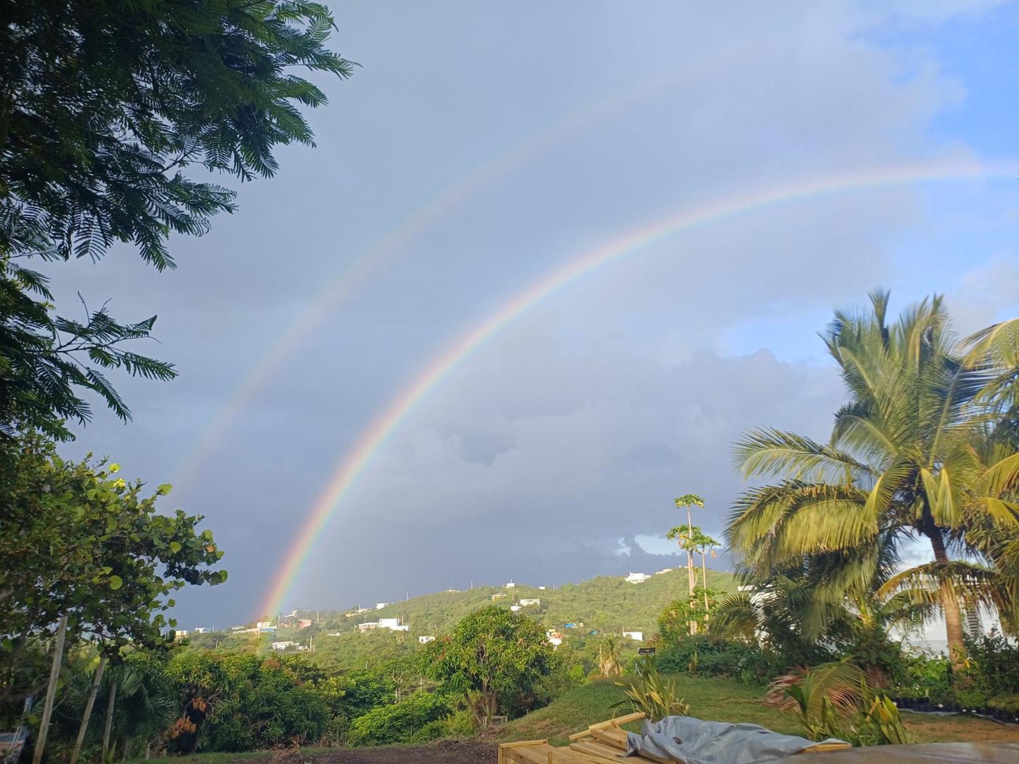 Rooster Run Glamping Camping Has Rooftop And Off The Ground Glamping Experience For 1 To 16 In A Single Tent And Views Of The Rain Forrest And To Culebra Across The Atlantic Ocean W Tents, Linens, Deluxe Air Beds, Warm Shower And More At A Great Pric Vieques Exterior photo