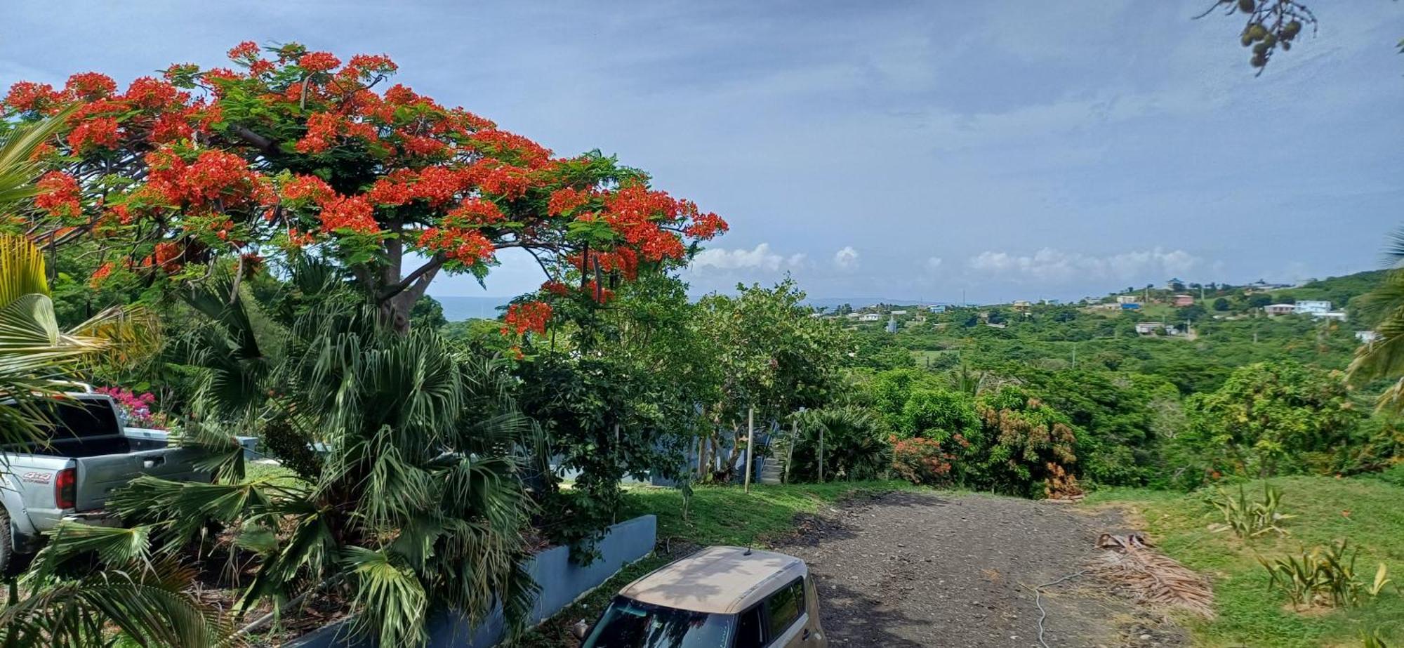 Rooster Run Glamping Camping Has Rooftop And Off The Ground Glamping Experience For 1 To 16 In A Single Tent And Views Of The Rain Forrest And To Culebra Across The Atlantic Ocean W Tents, Linens, Deluxe Air Beds, Warm Shower And More At A Great Pric Vieques Exterior photo