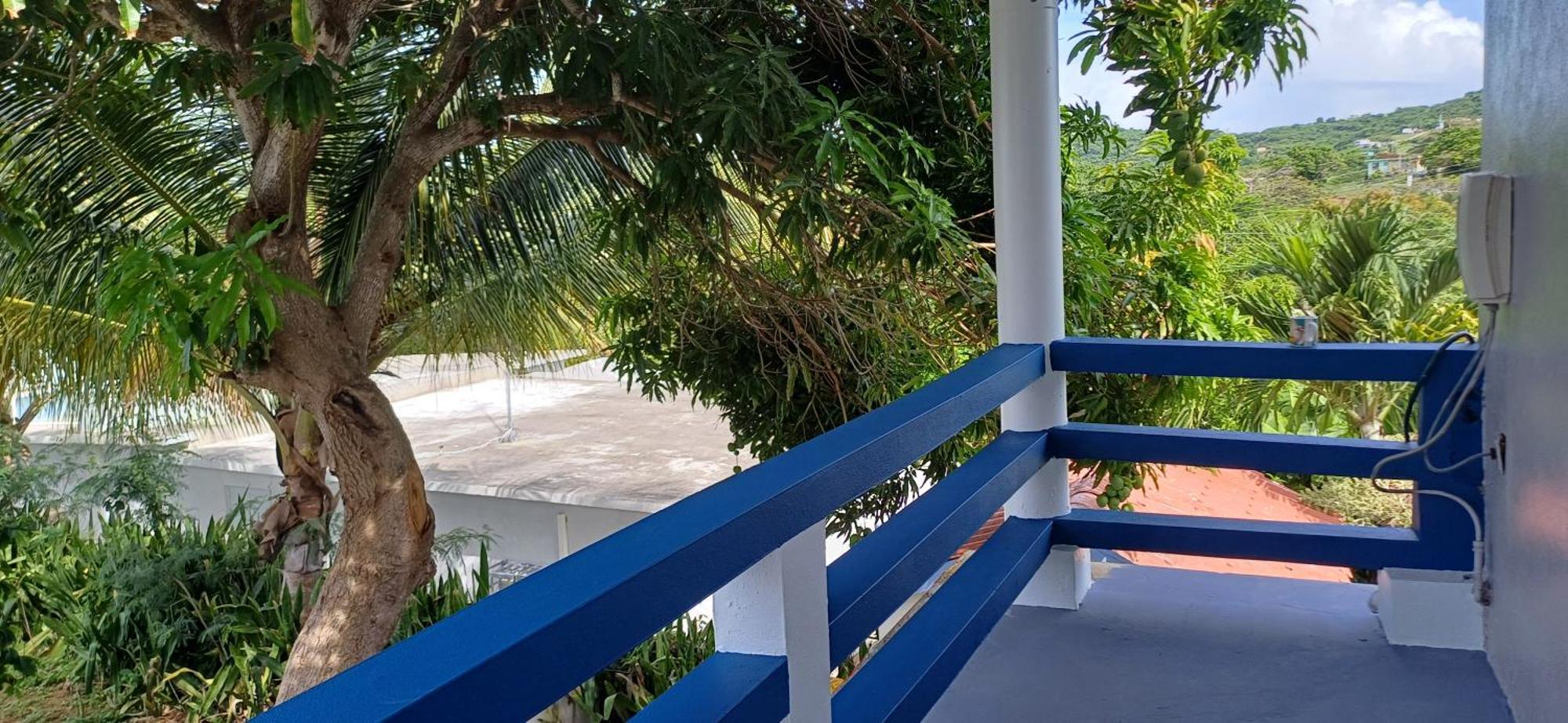 Rooster Run Glamping Camping Has Rooftop And Off The Ground Glamping Experience For 1 To 16 In A Single Tent And Views Of The Rain Forrest And To Culebra Across The Atlantic Ocean W Tents, Linens, Deluxe Air Beds, Warm Shower And More At A Great Pric Vieques Exterior photo