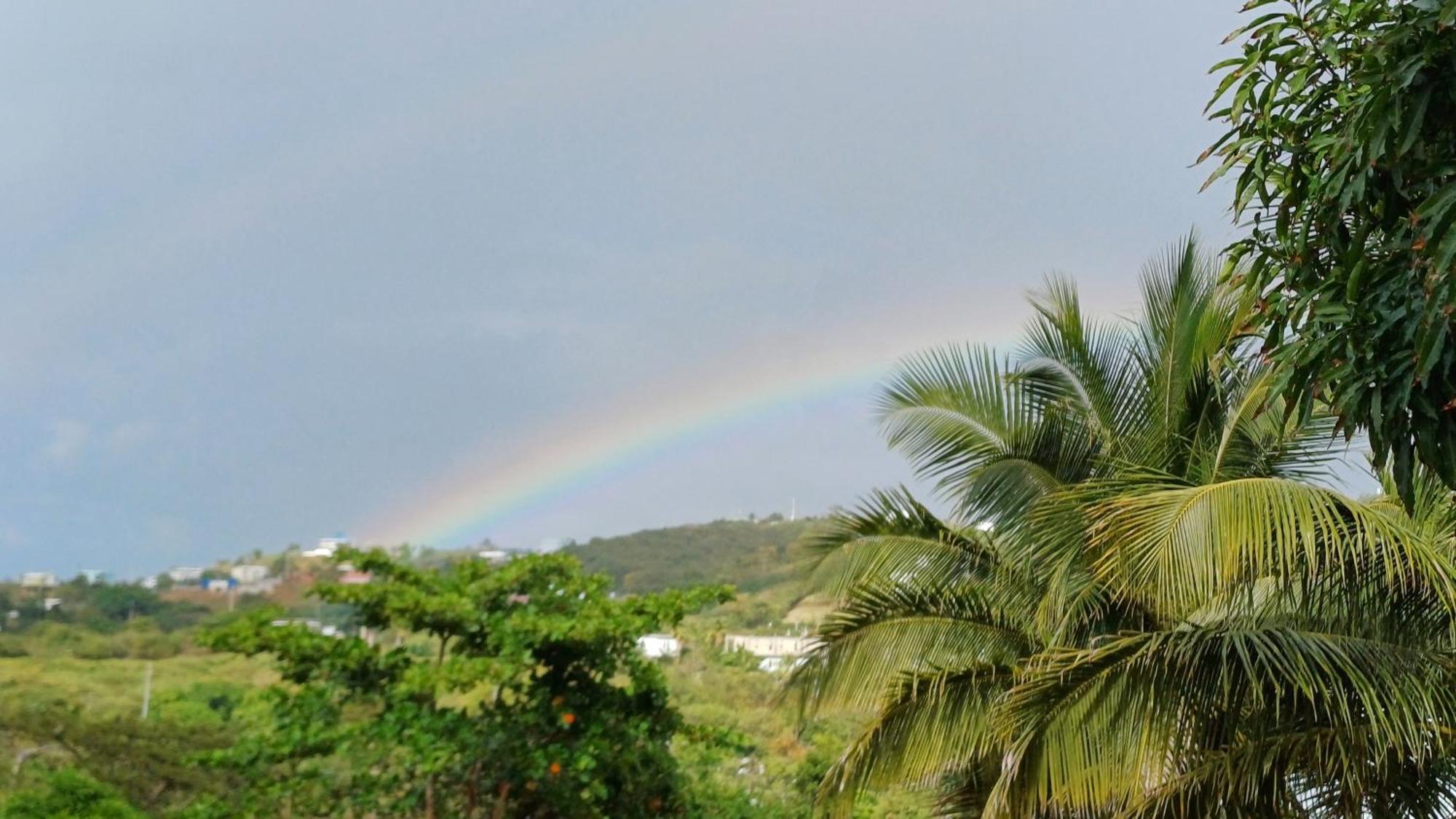 Rooster Run Glamping Camping Has Rooftop And Off The Ground Glamping Experience For 1 To 16 In A Single Tent And Views Of The Rain Forrest And To Culebra Across The Atlantic Ocean W Tents, Linens, Deluxe Air Beds, Warm Shower And More At A Great Pric Vieques Exterior photo