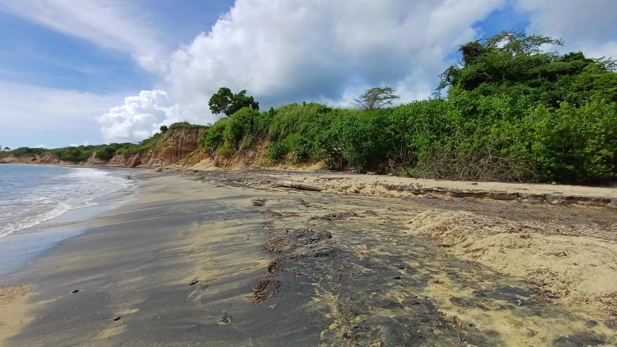 Rooster Run Glamping Camping Has Rooftop And Off The Ground Glamping Experience For 1 To 16 In A Single Tent And Views Of The Rain Forrest And To Culebra Across The Atlantic Ocean W Tents, Linens, Deluxe Air Beds, Warm Shower And More At A Great Pric Vieques Exterior photo