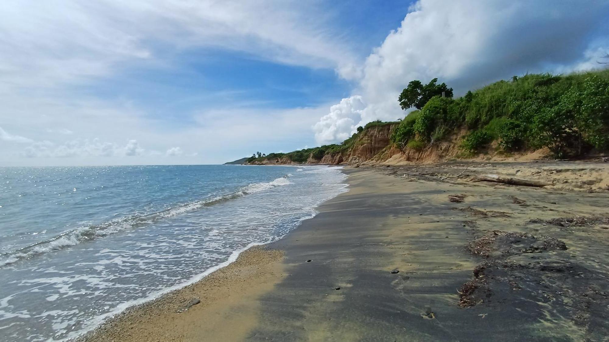 Rooster Run Glamping Camping Has Rooftop And Off The Ground Glamping Experience For 1 To 16 In A Single Tent And Views Of The Rain Forrest And To Culebra Across The Atlantic Ocean W Tents, Linens, Deluxe Air Beds, Warm Shower And More At A Great Pric Vieques Exterior photo